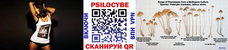 Галлюциногенные грибы мухоморы  Сысерть 